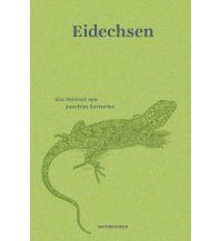 Naturführer Eidechsen Matthes & Seitz Verlag