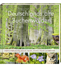 Illustrated Books Deutschlands alte Buchenwälder Steffen GmbH