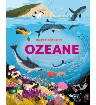 Kinderbücher und Spiele Unter der Lupe: Ozeane Laurence King