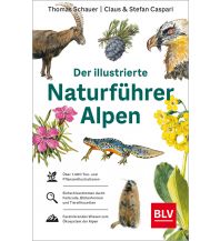 Nature and Wildlife Guides Der illustrierte Naturführer Alpen BLV Verlagsgesellschaft mbH