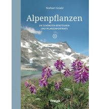 Naturführer Alpenpflanzen Freya Verlag