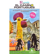 Cycling Guides El Camino portugués en bicicleta Petirrojo