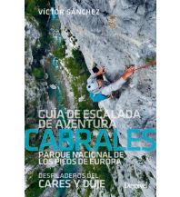 Alpinkletterführer Cabrales - guía de escalada de aventura Desnivel