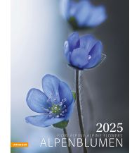 Calendars Alpenblumen Kalender 2025 Athesia Kalenderverlag