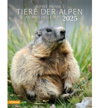 Kalender Tiere der Alpen - Kalender 2025 Athesia Kalenderverlag