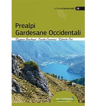 Wanderführer Ruggero Bontempi, Fausto Camerini, Roberto Ciri - Prealpi Gardesane Occidentali Idea Montagna