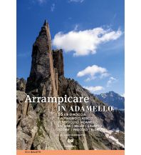 Alpine Climbing Guides Arrampicare in Adamello ViviDolomiti