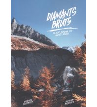 Boulderführer Diamants Bruts Pierre Tardivel Distribution