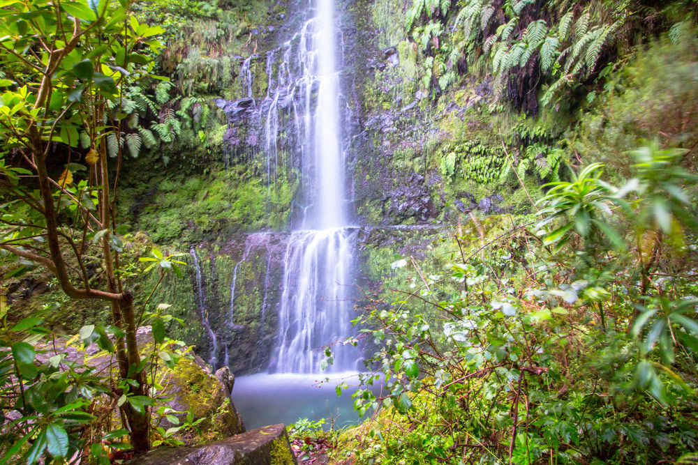 Wasserfall auf der Levada Caldeirao Verde, Madeira, Portugal © robertdering_Adobe Stock