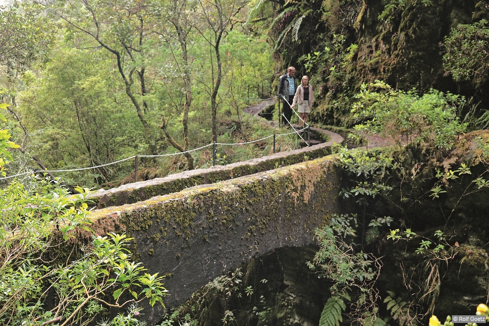 Eine alte Bogenbrücke hilft der Levada und Wanderern über eine kleine Schlucht © Rolf Goetz